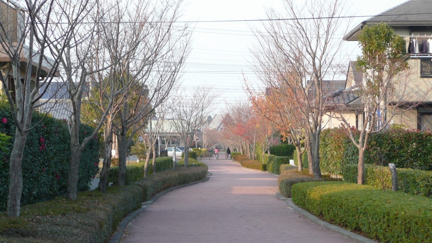 宮崎学園都市内の遊歩道