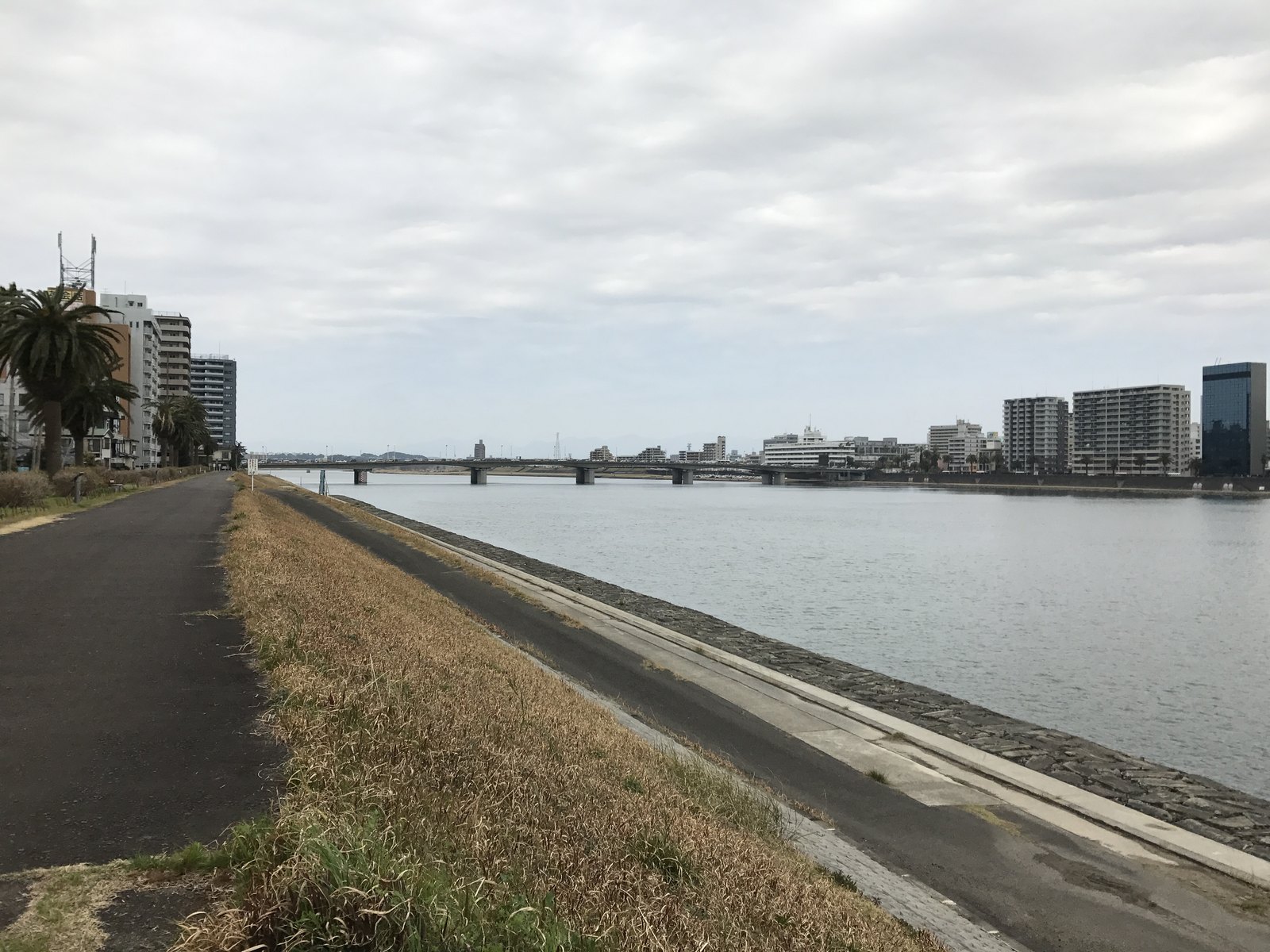 大淀大橋付近から望む橘橋と大淀川