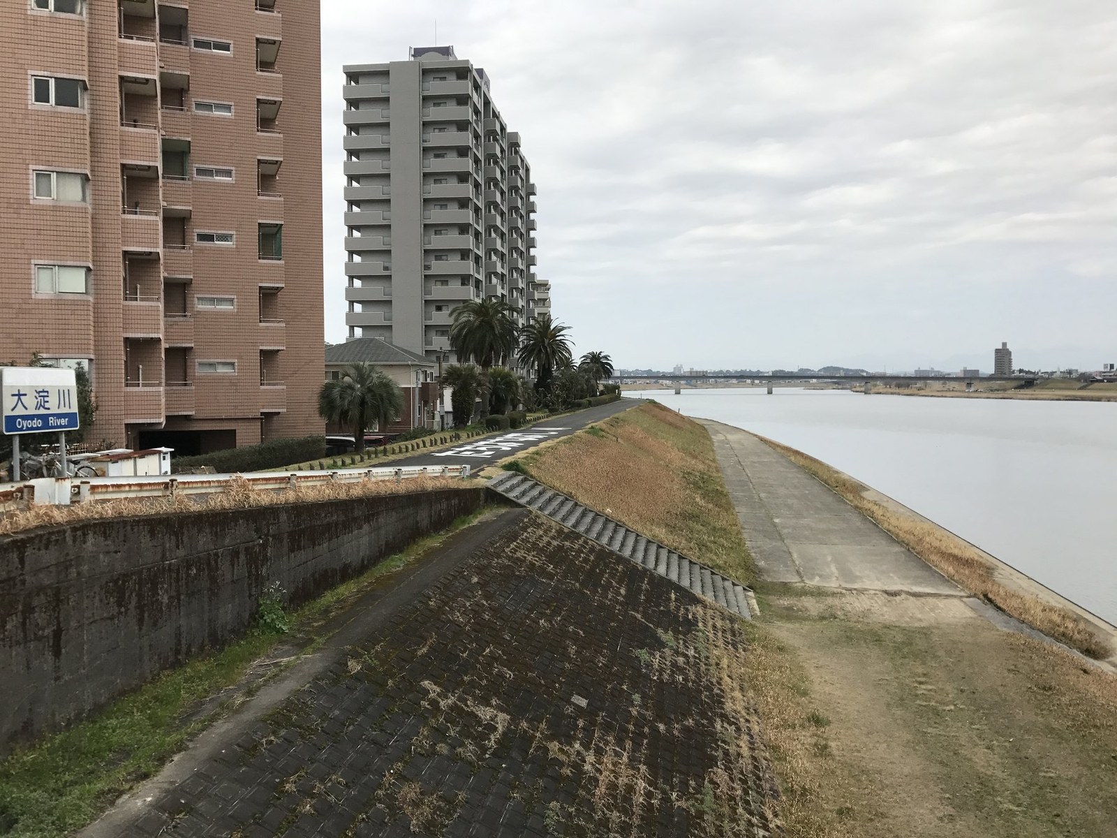 橘橋から望む大淀川
