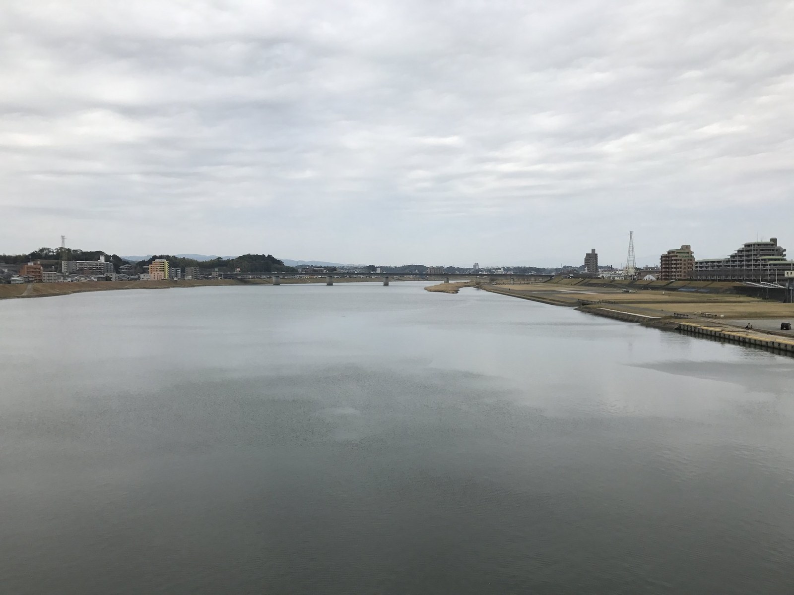 大淀川の水辺