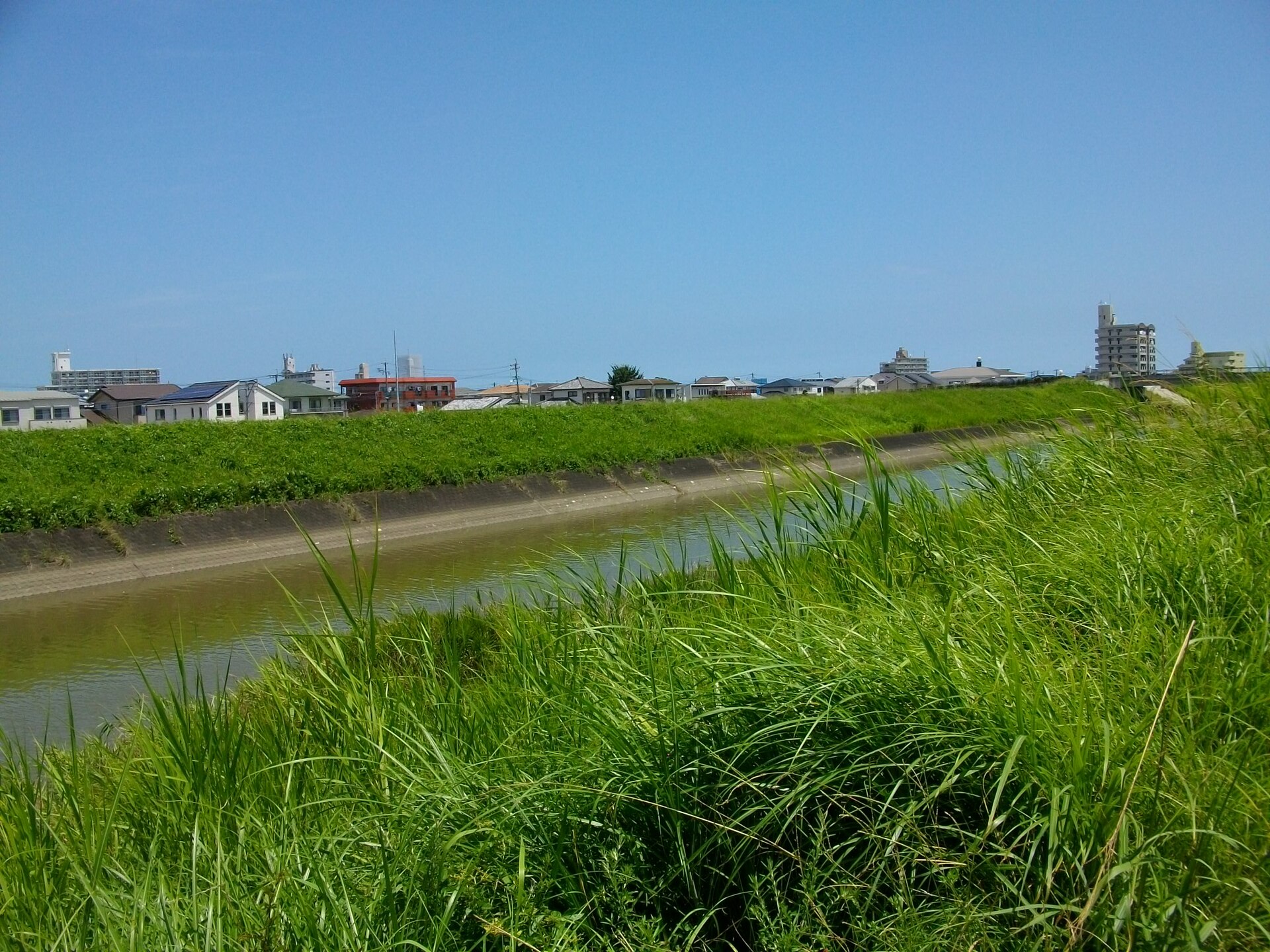 八重川の堤防