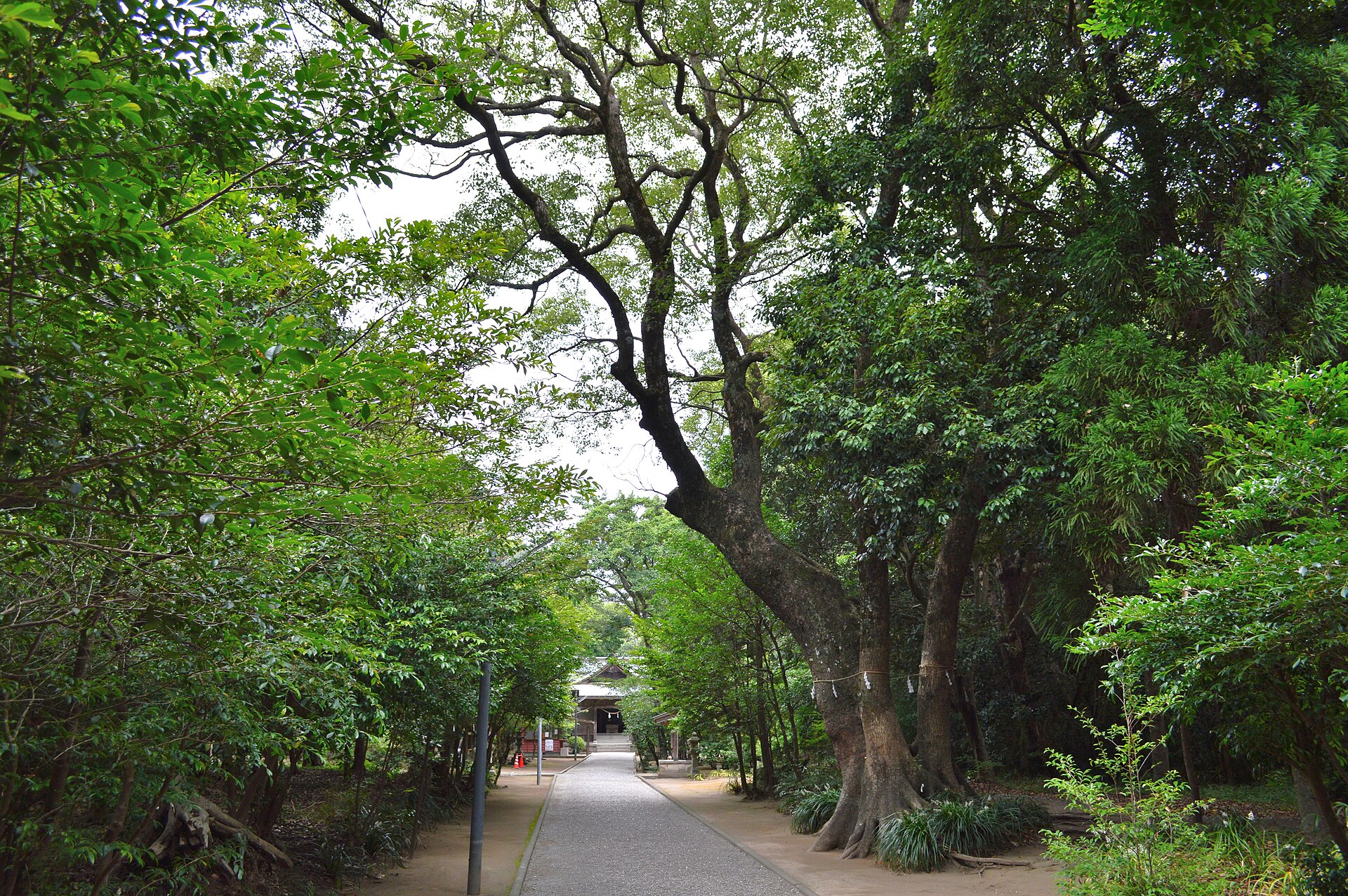 江田神社の参道