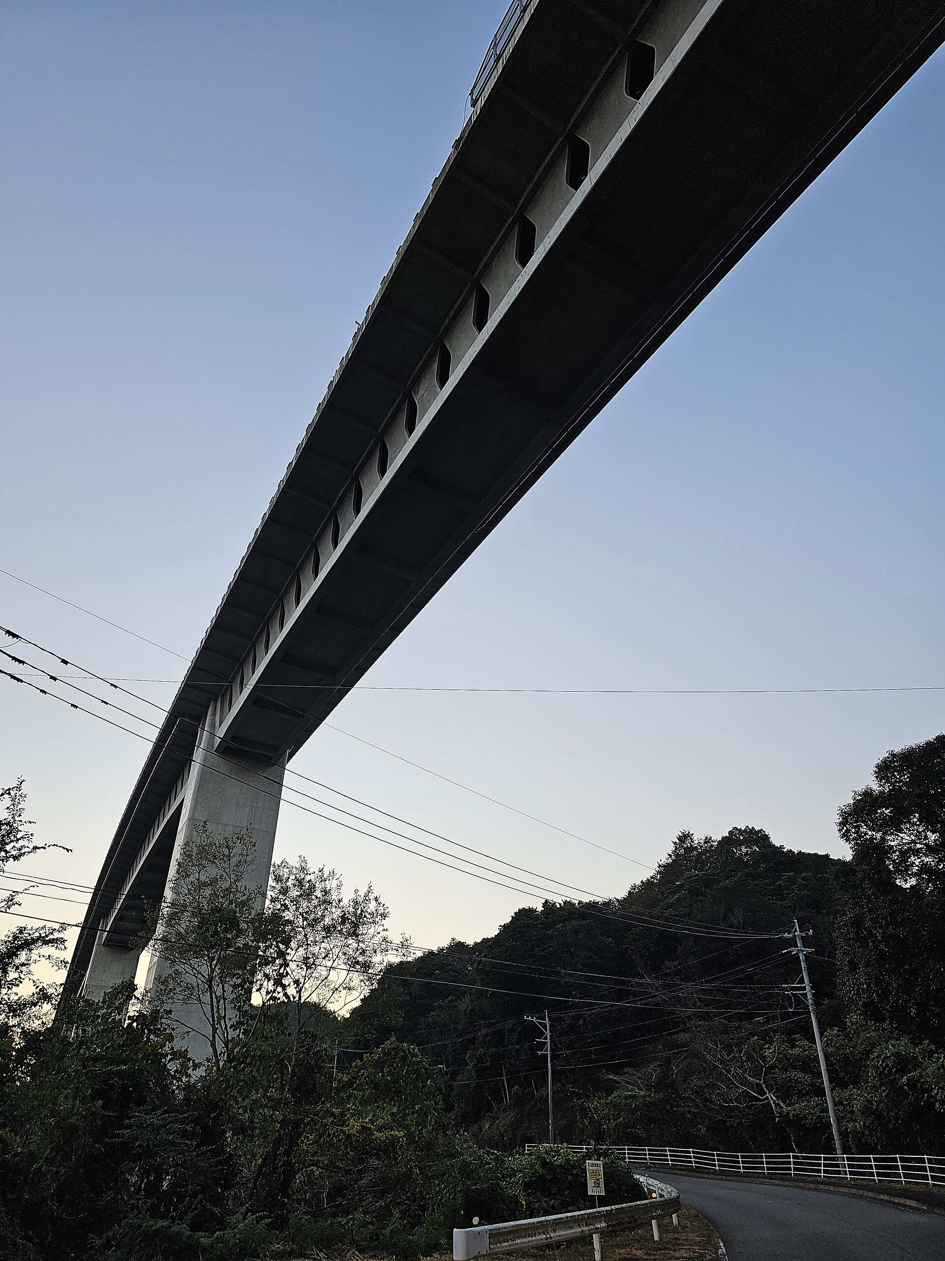 下から見上げた寺迫ちょうちょ大橋