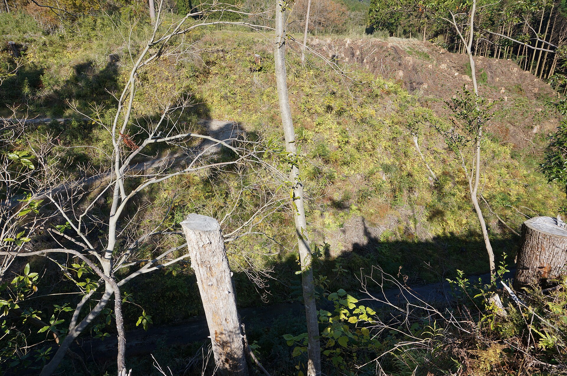 亀城公園として整備された飯野城跡。島津義弘が26年間居城としました