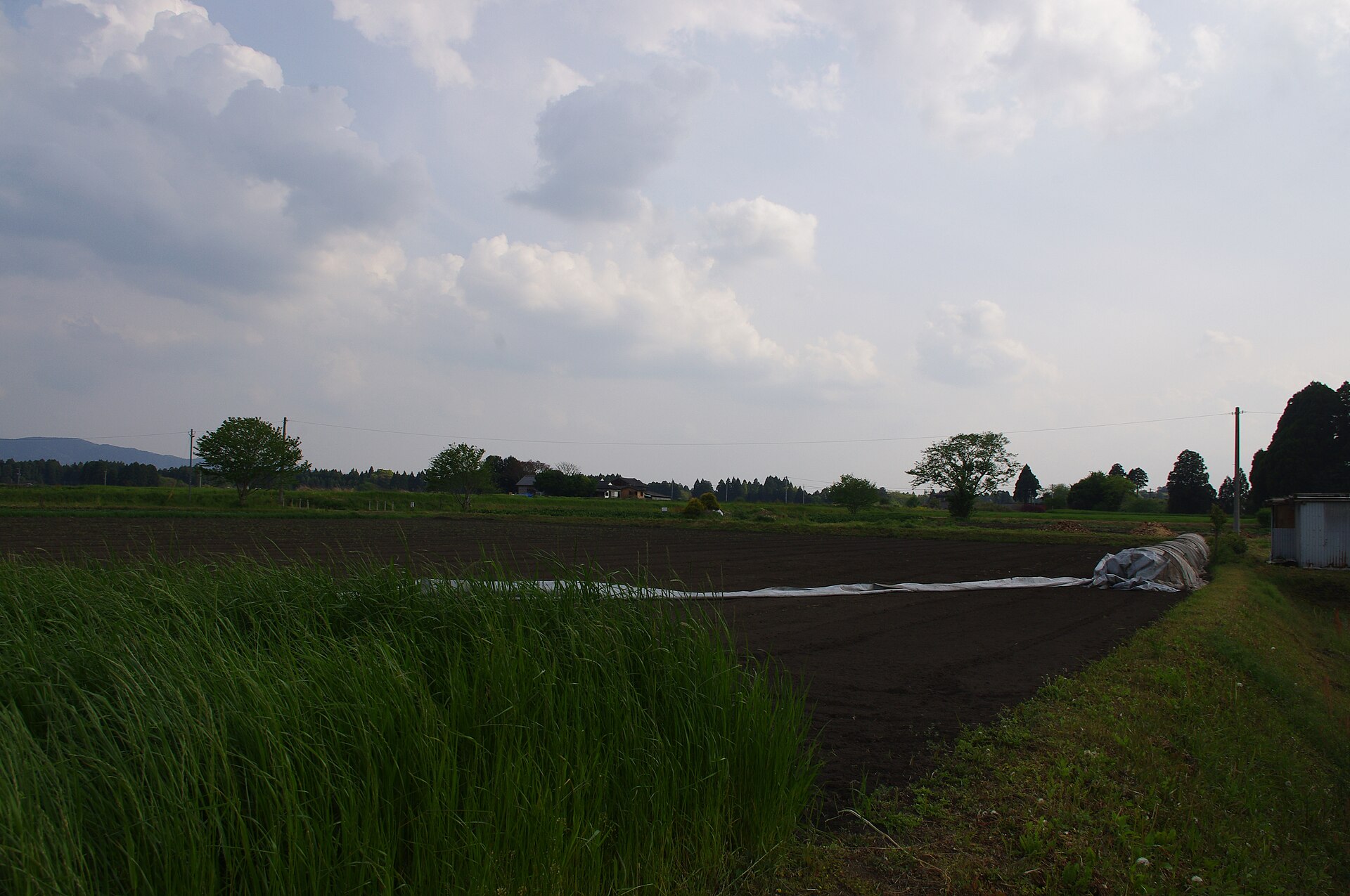 今町方面に広がる田園風景