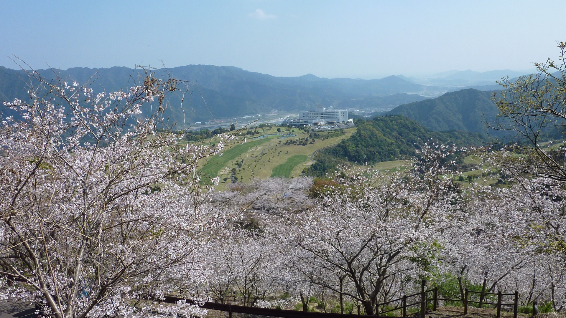 花立公園から見下ろす北郷の山々と桜
