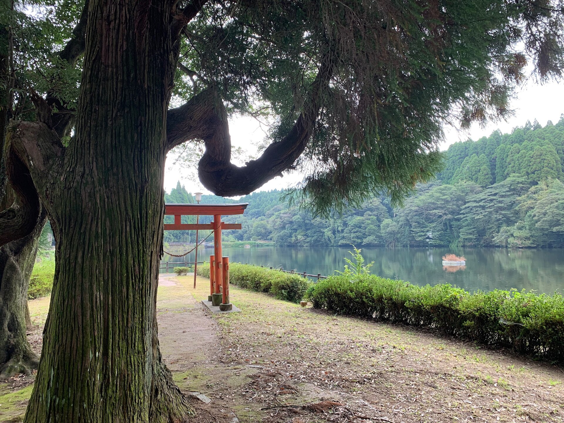 出の山公園の池と鳥居