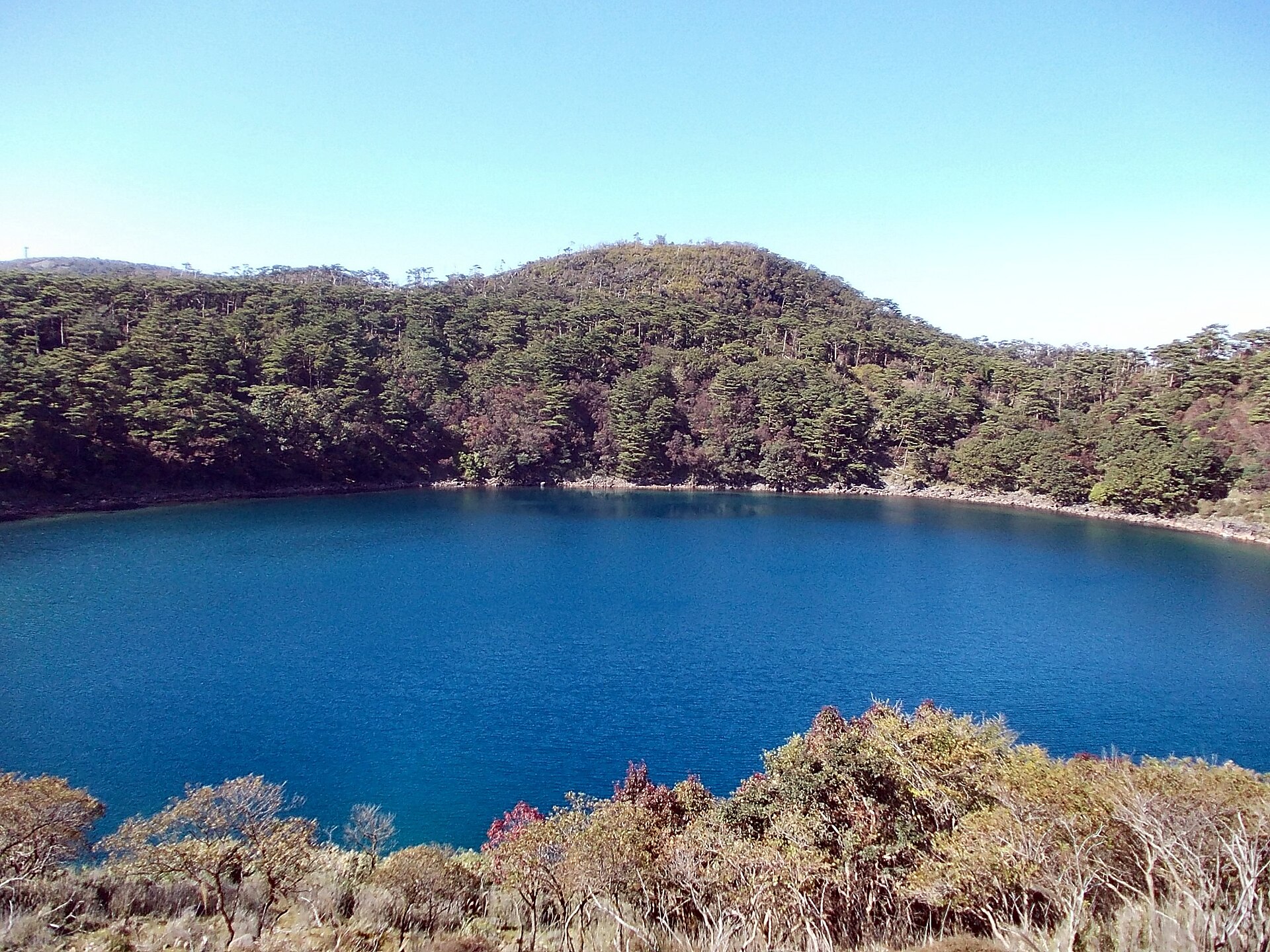 不動池の水面
