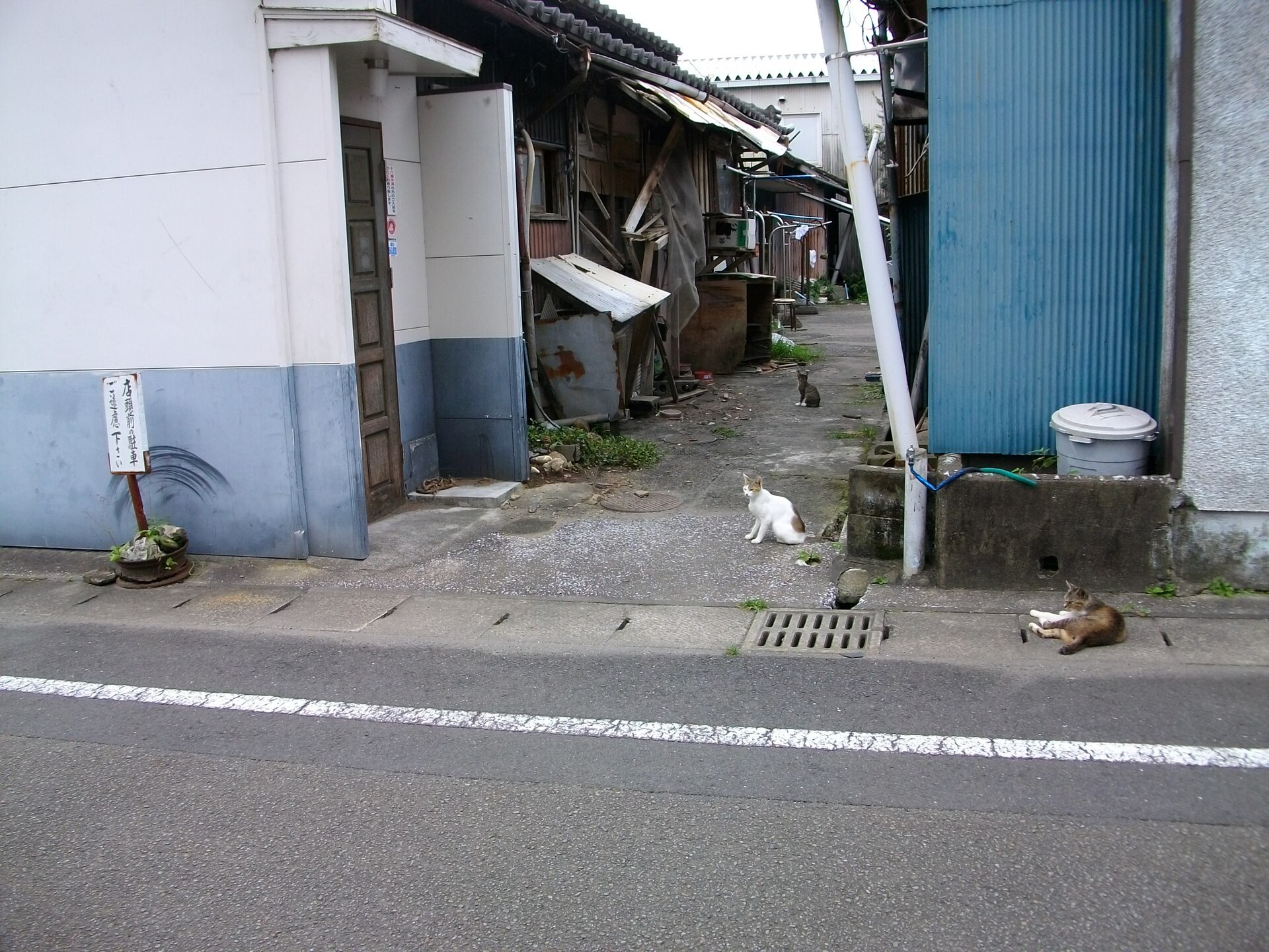 飫肥の細い路地