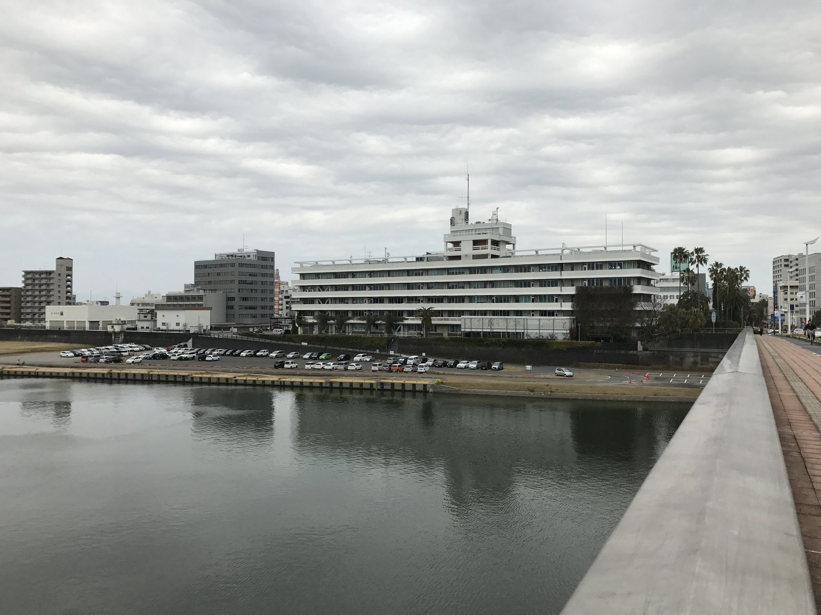 橘橋から見た宮崎市役所方面