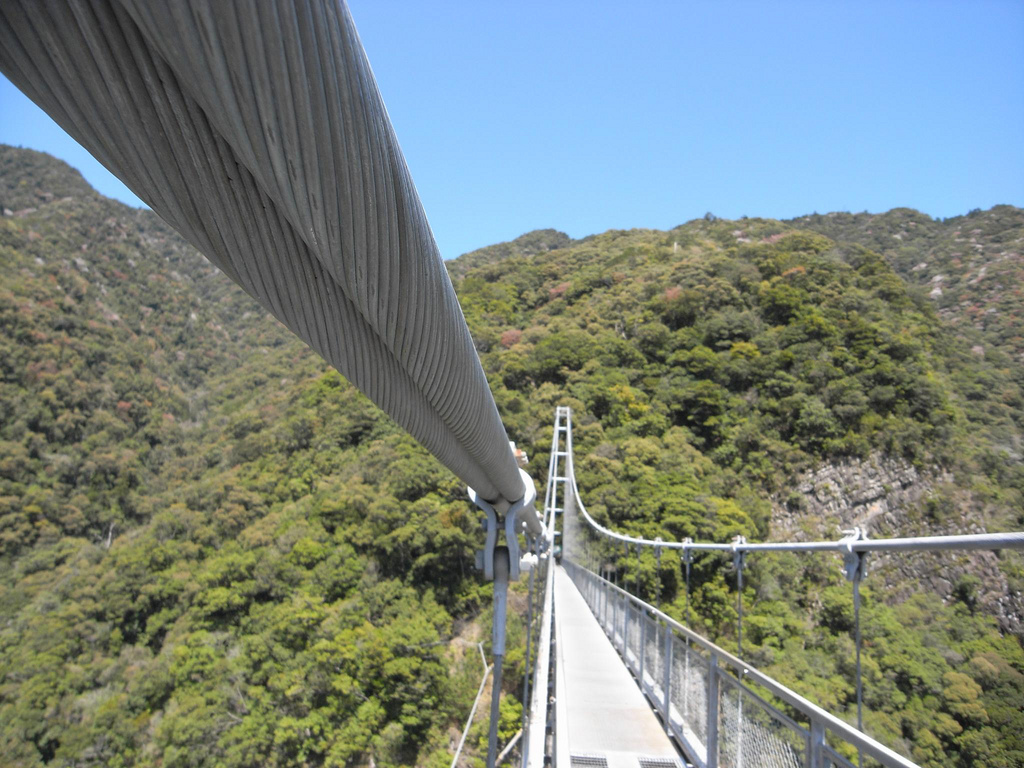 照葉大吊橋(綾町)