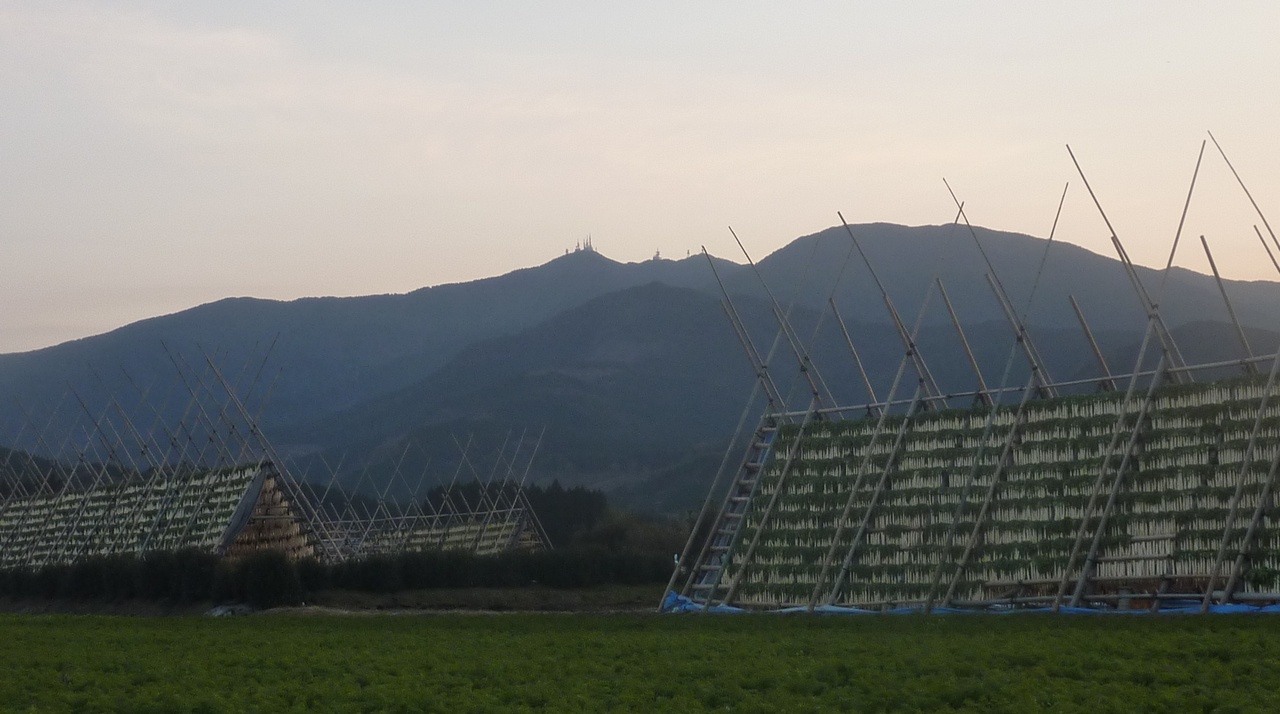 大根やぐら越しに望む鰐塚山