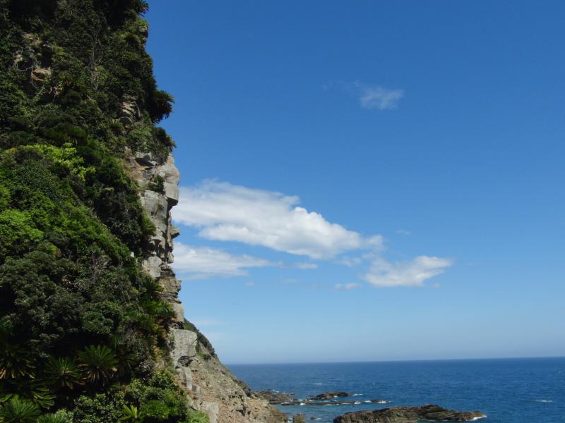 都井岬の海岸線