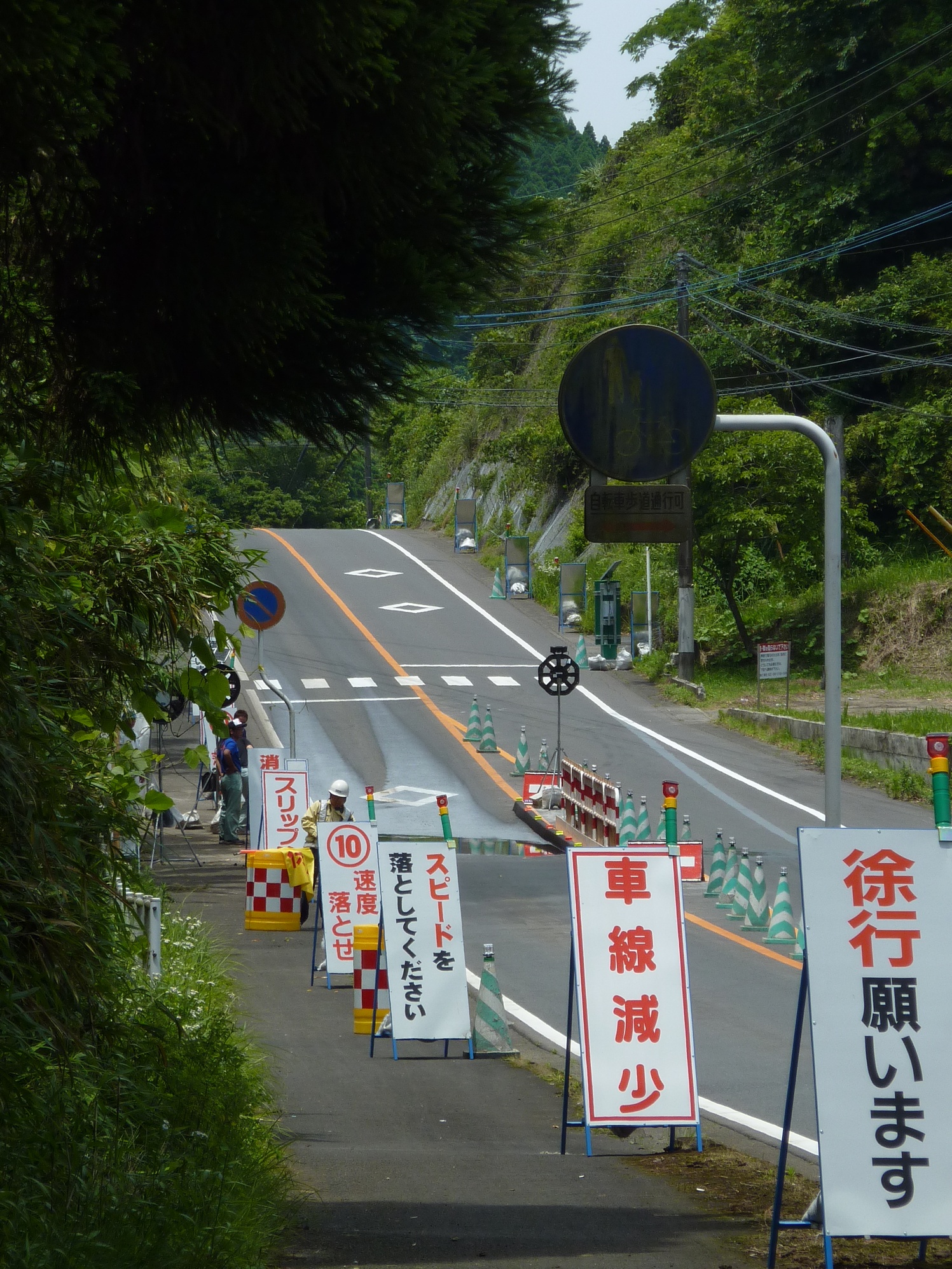 国道269号の山あいの区間