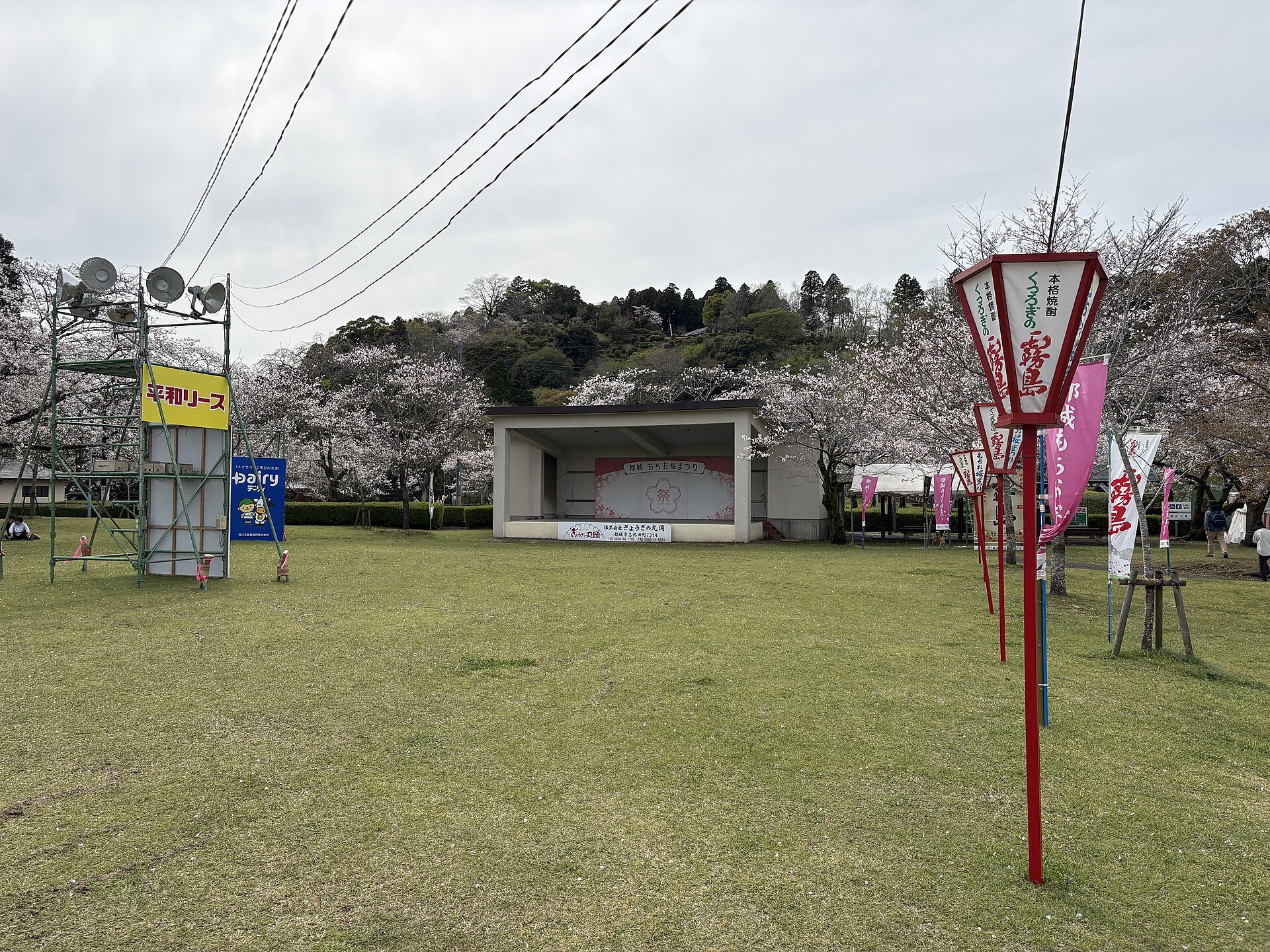 母智丘公園の屋外ステージと桜